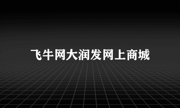 飞牛网大润发网上商城