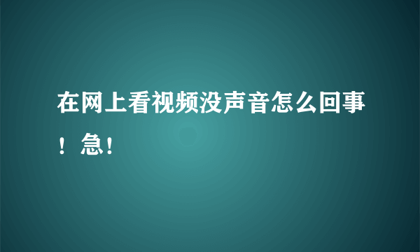 在网上看视频没声音怎么回事！急！