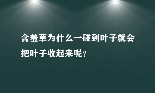 含羞草为什么一碰到叶子就会把叶子收起来呢？