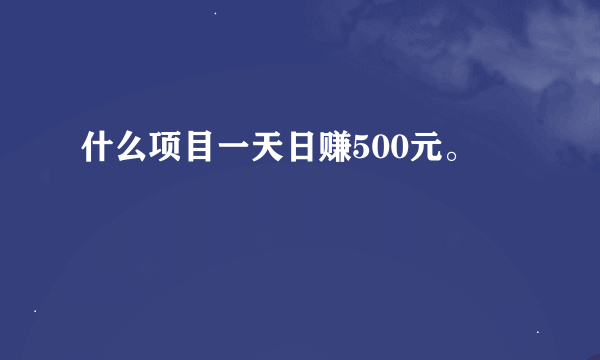 什么项目一天日赚500元。