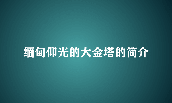 缅甸仰光的大金塔的简介