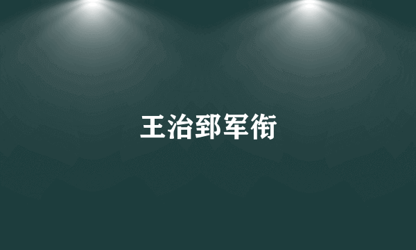 王治郅军衔