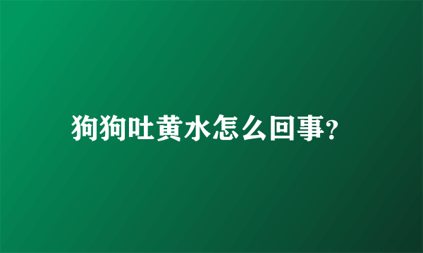 狗狗吐黄水怎么回事？