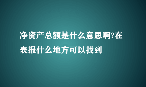 净资产总额是什么意思啊?在表报什么地方可以找到