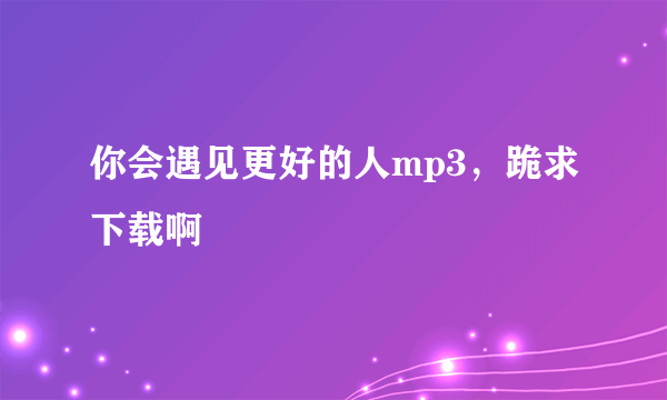 你会遇见更好的人mp3，跪求下载啊