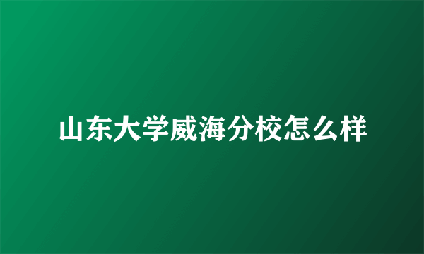 山东大学威海分校怎么样