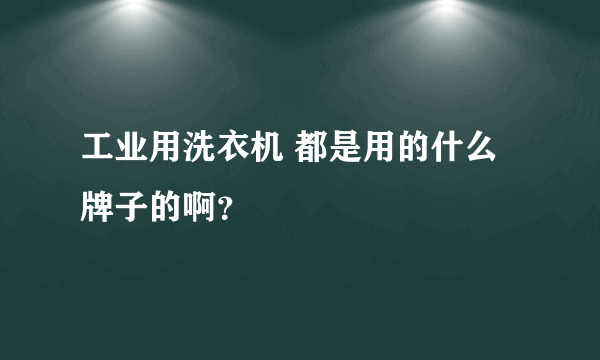 工业用洗衣机 都是用的什么牌子的啊？