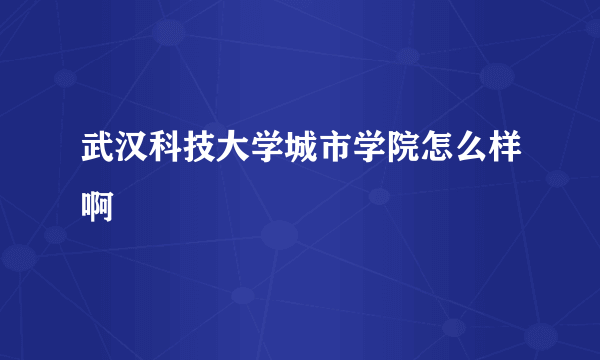 武汉科技大学城市学院怎么样啊