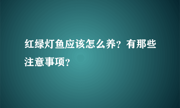 红绿灯鱼应该怎么养？有那些注意事项？