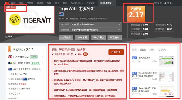 TigerWit黄金外汇交易平台哪个好