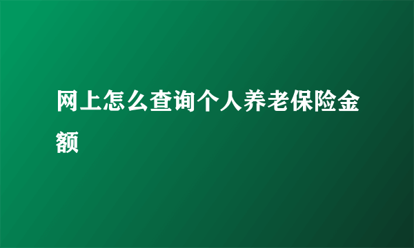 网上怎么查询个人养老保险金额