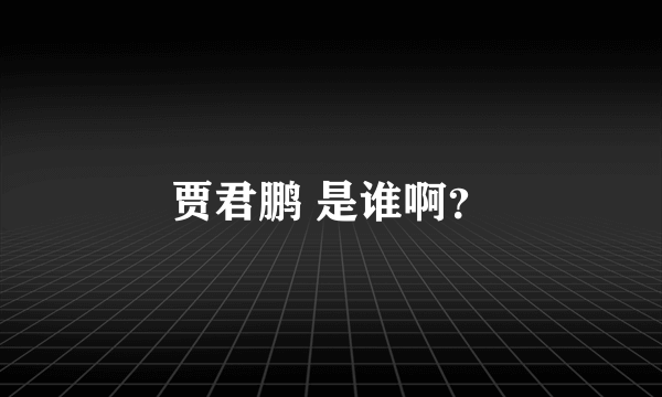 贾君鹏 是谁啊？