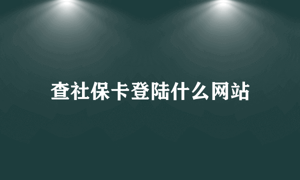 查社保卡登陆什么网站