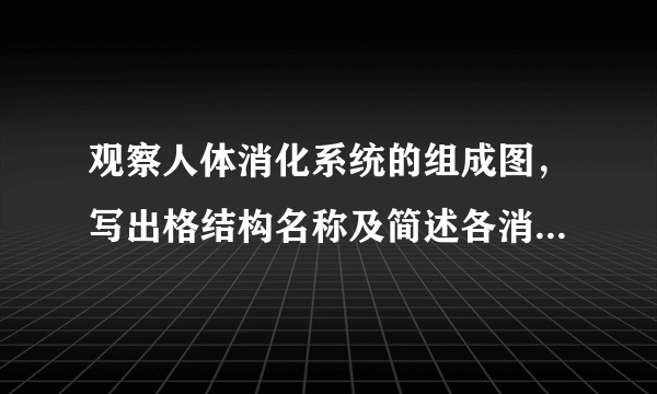 观察人体消化系统的组成图，写出格结构名称及简述各消化道和消化腺的功能