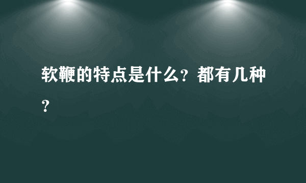 软鞭的特点是什么？都有几种？