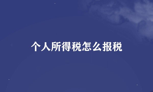 个人所得税怎么报税