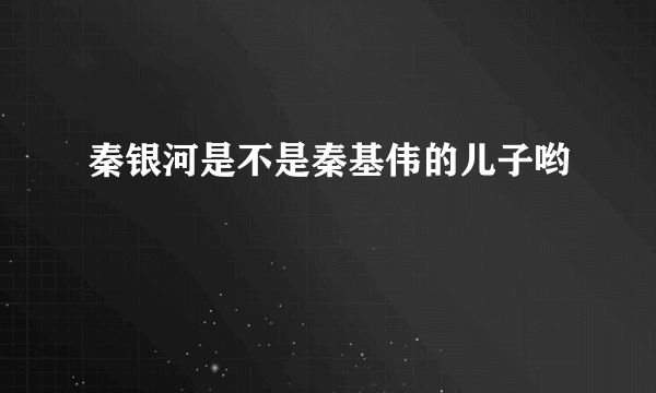 秦银河是不是秦基伟的儿子哟