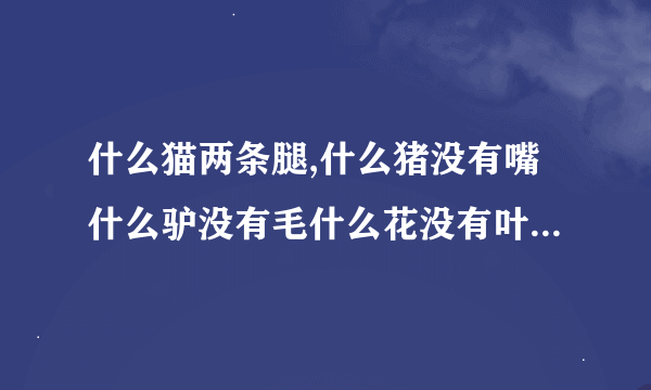 什么猫两条腿,什么猪没有嘴什么驴没有毛什么花没有叶?连成一句话