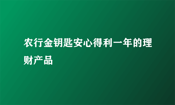 农行金钥匙安心得利一年的理财产品