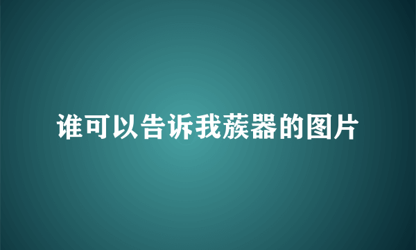 谁可以告诉我蔟器的图片