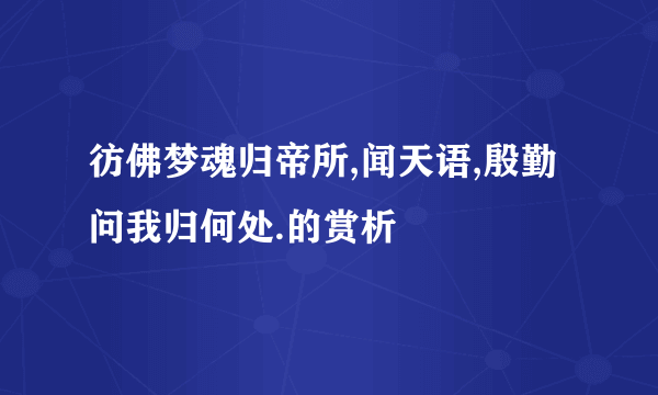 彷佛梦魂归帝所,闻天语,殷勤问我归何处.的赏析