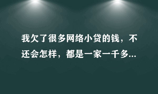 我欠了很多网络小贷的钱，不还会怎样，都是一家一千多的，借了好几家