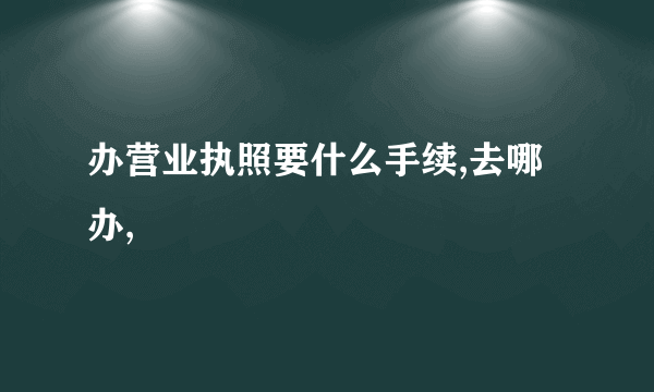 办营业执照要什么手续,去哪办,