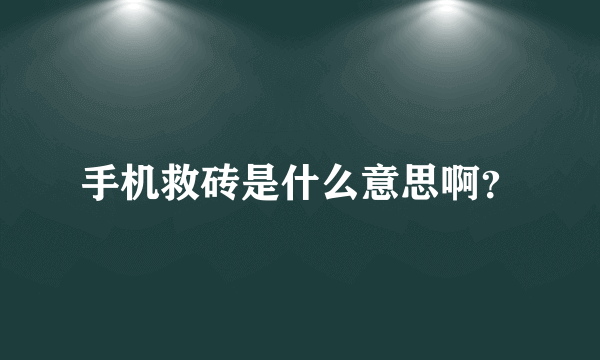 手机救砖是什么意思啊？