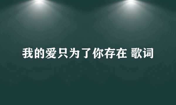 我的爱只为了你存在 歌词