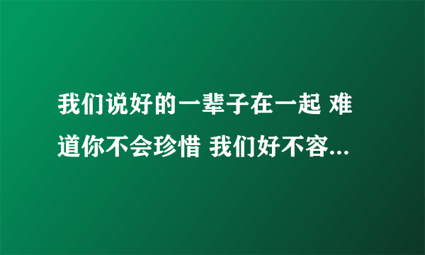 我们说好的一辈子在一起 难道你不会珍惜 我们好不容易 歌名是什么