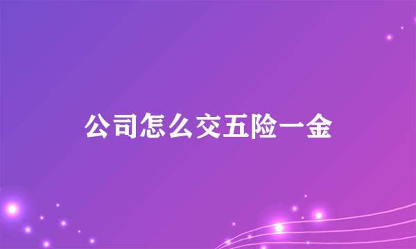 公司怎么交五险一金