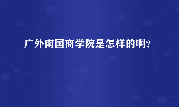 广外南国商学院是怎样的啊？