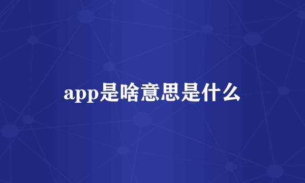 app是啥意思是什么