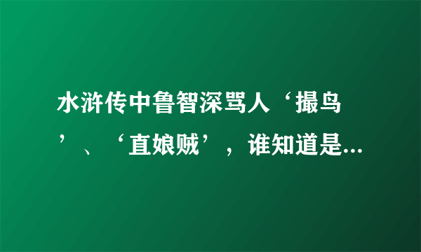 水浒传中鲁智深骂人‘撮鸟 ’、‘直娘贼’，谁知道是什么意思啊？？