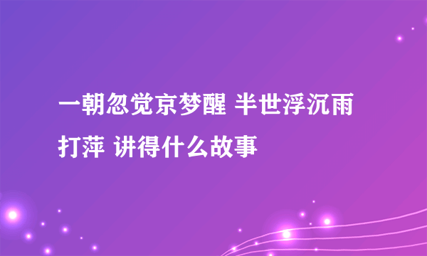 一朝忽觉京梦醒 半世浮沉雨打萍 讲得什么故事