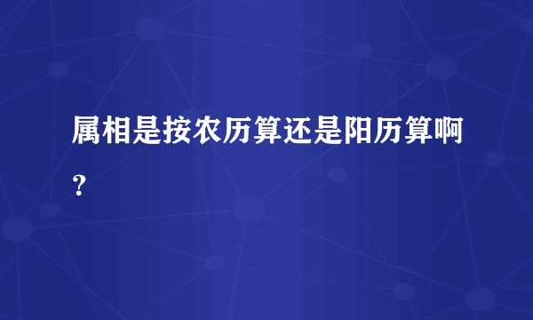 属相是按农历算还是阳历算啊？