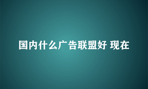 国内什么广告联盟好 现在