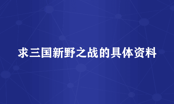 求三国新野之战的具体资料