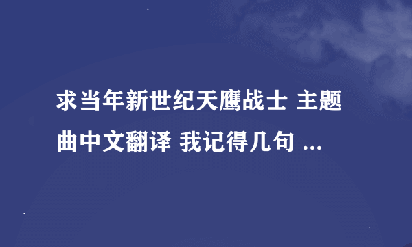 求当年新世纪天鹰战士 主题曲中文翻译 我记得几句 勇敢的少年啊 忘了一句 为了明天快去创造奇迹