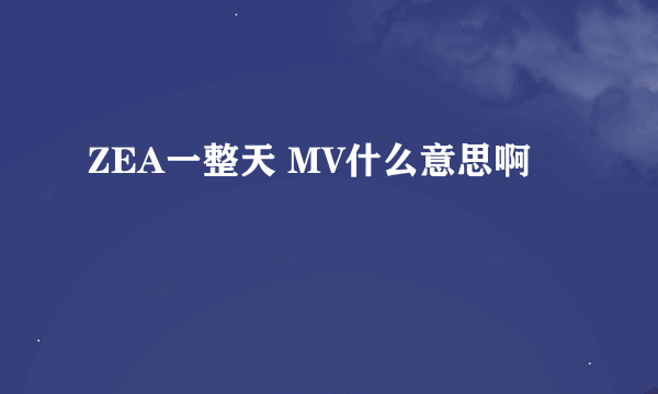 ZEA一整天 MV什么意思啊