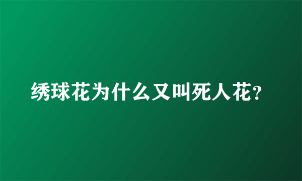 绣球花为什么又叫死人花？