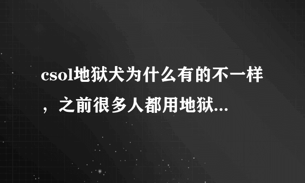 csol地狱犬为什么有的不一样，之前很多人都用地狱犬炎魔系列的，有的40发的 还有的是30发但可用备用子弹