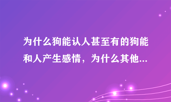 为什么狗能认人甚至有的狗能和人产生感情，为什么其他动物却不会？