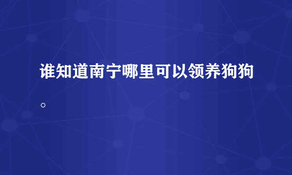 谁知道南宁哪里可以领养狗狗。