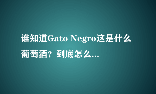 谁知道Gato Negro这是什么葡萄酒？到底怎么样？谢谢啦